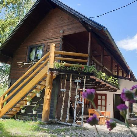 Pensiunea Padina Bran (Brasov) Exterior foto