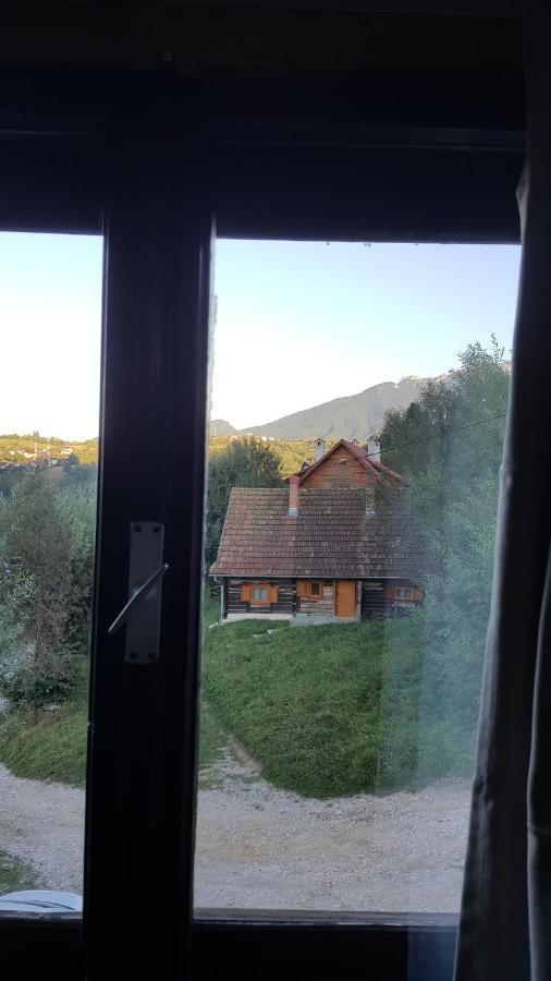 Pensiunea Padina Bran (Brasov) Exterior foto