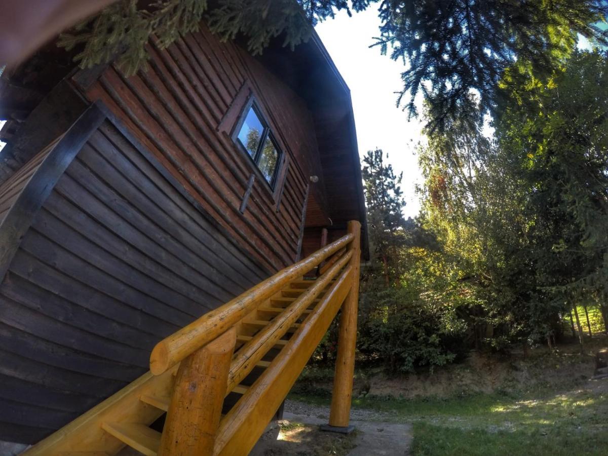 Pensiunea Padina Bran (Brasov) Exterior foto