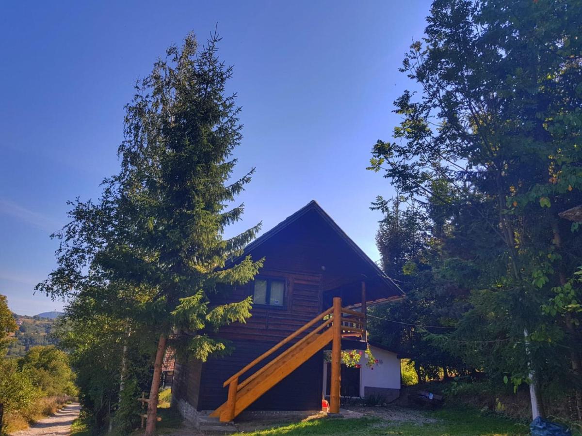 Pensiunea Padina Bran (Brasov) Exterior foto