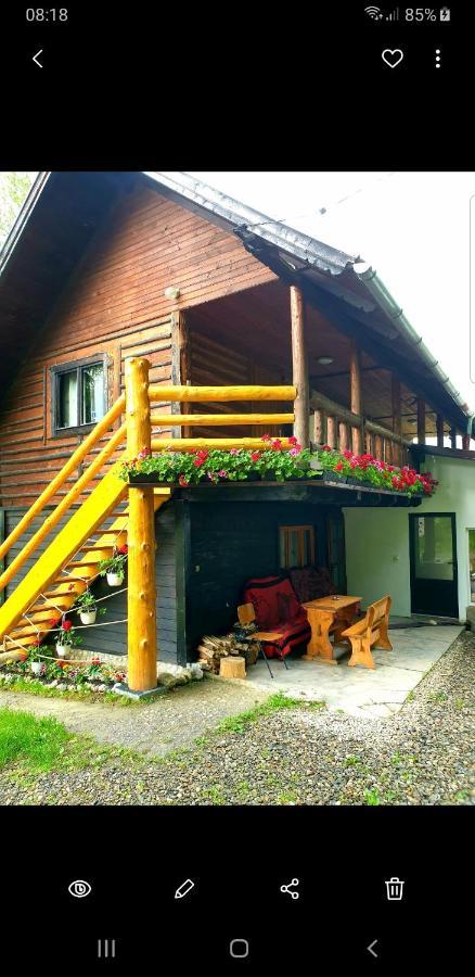 Pensiunea Padina Bran (Brasov) Exterior foto