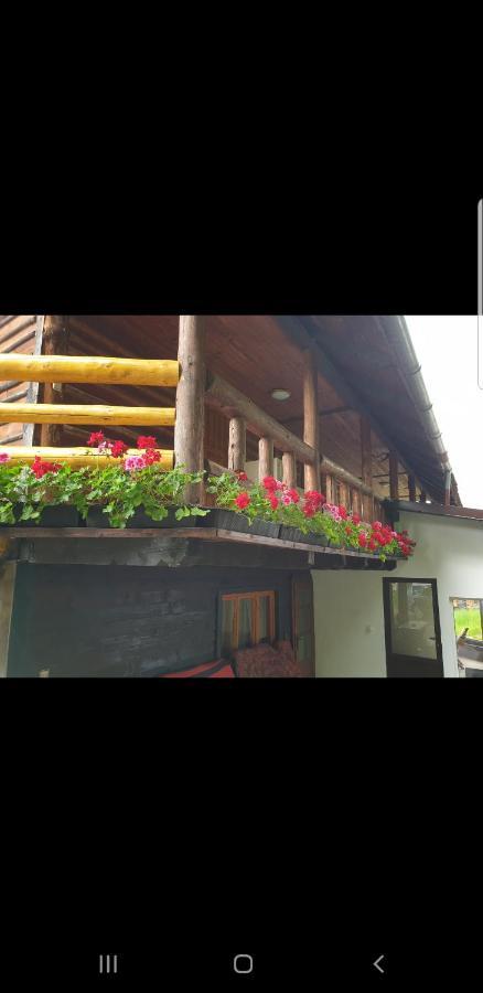 Pensiunea Padina Bran (Brasov) Exterior foto