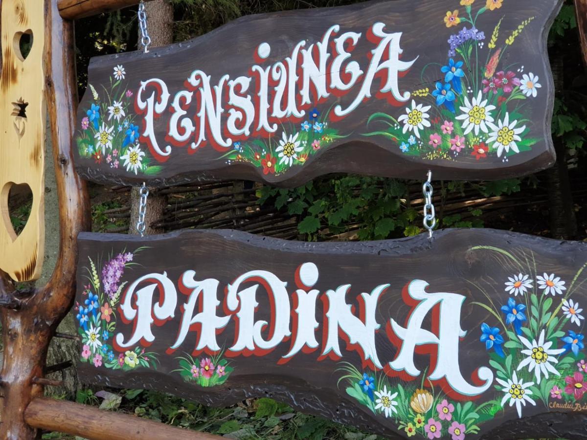 Pensiunea Padina Bran (Brasov) Exterior foto