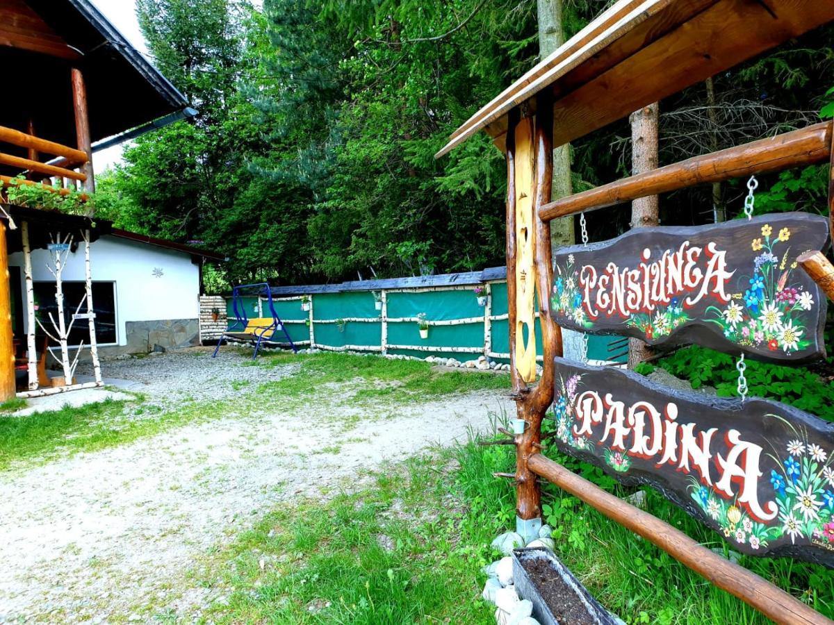 Pensiunea Padina Bran (Brasov) Exterior foto