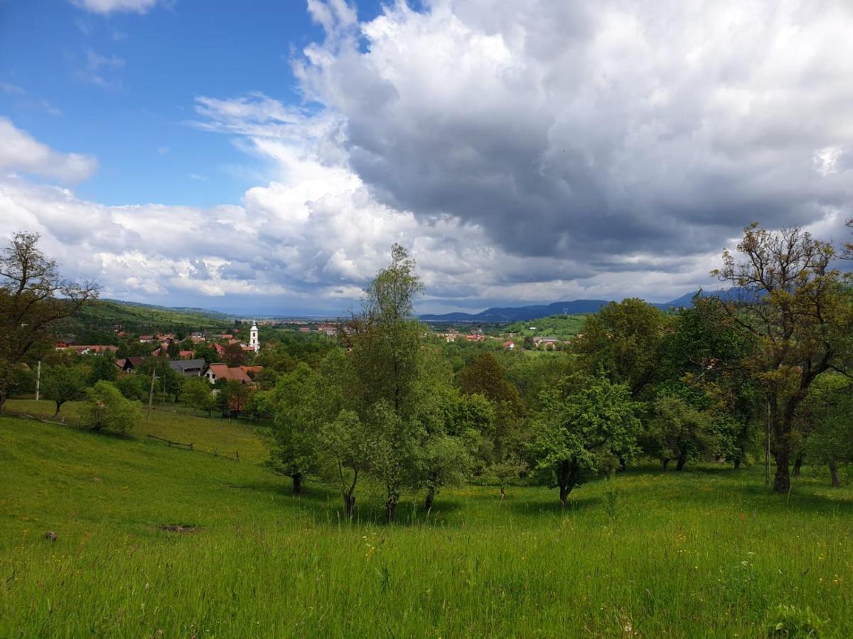 Pensiunea Padina Bran (Brasov) Exterior foto
