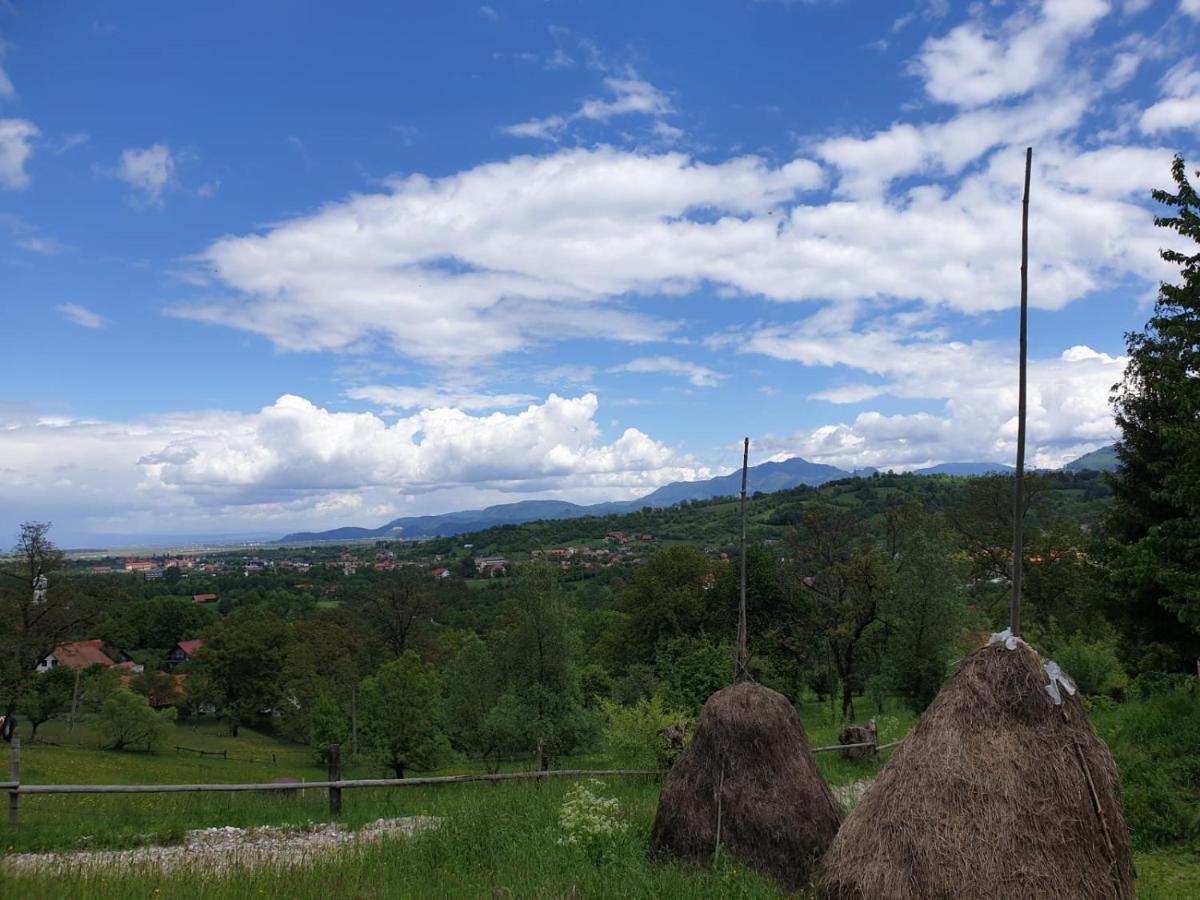 Pensiunea Padina Bran (Brasov) Exterior foto
